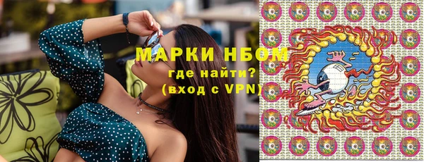 хмурый Алексин
