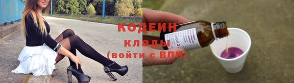 хмурый Алексин