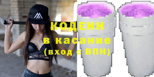 хмурый Алексин