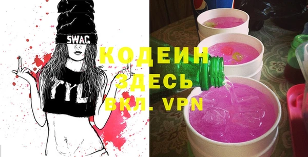хмурый Алексин