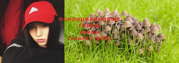 хмурый Алексин