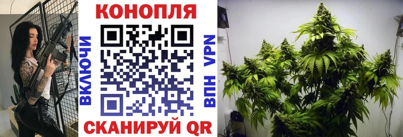 МАРИХУАНА семена Венёв